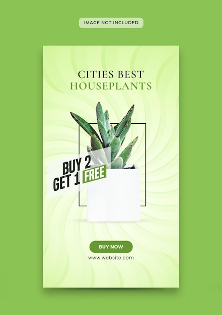 Compre y obtenga un diseño de banner de historias de instagram gratis para la promoción de plantas o productos