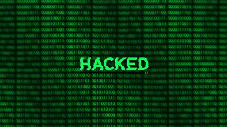 Vector la computadora fue pirateada por un hacker