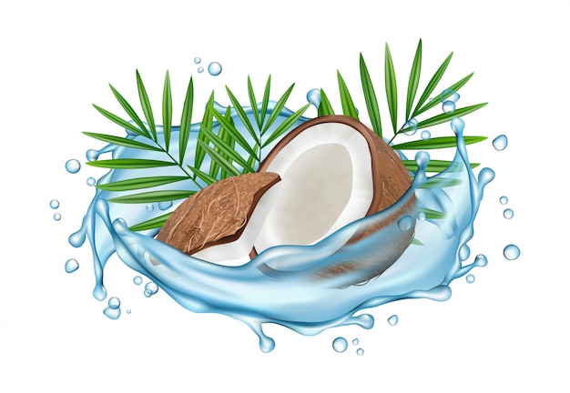 Vector concepto de agua de coco. coco realista, salpicaduras de agua y hojas de palma