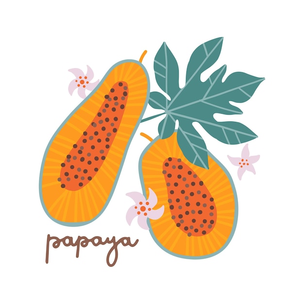 Concepto aislado de dos papayas y hojas de papaya comiendo frutas exóticas saludables ilustración dibujada a mano i