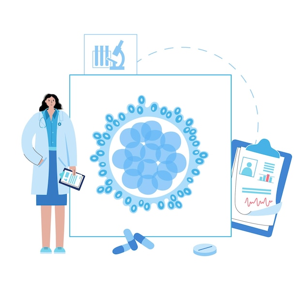 Concepto de anatomía de la mórula