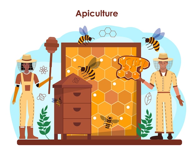 Concepto de apicultor o hiver. Agricultor apicultor recolectando miel. Producto orgánico de campo. Trabajador de colmenar, apicultura y extracción de miel. Ilustración vectorial plana
