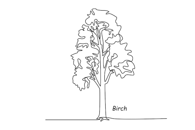 Concepto de árbol de abedul de dibujo de una sola línea Ilustración de vector gráfico de diseño de dibujo de línea continua