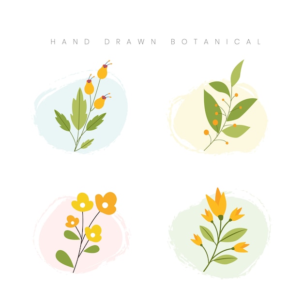 Vector concepto botánico primavera dibujado mano flor ilustración floral salpicaduras acuarela