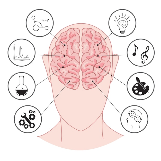 Concepto del cerebro humano izquierda derecha cabeza humana con icona de silueta del cerebro