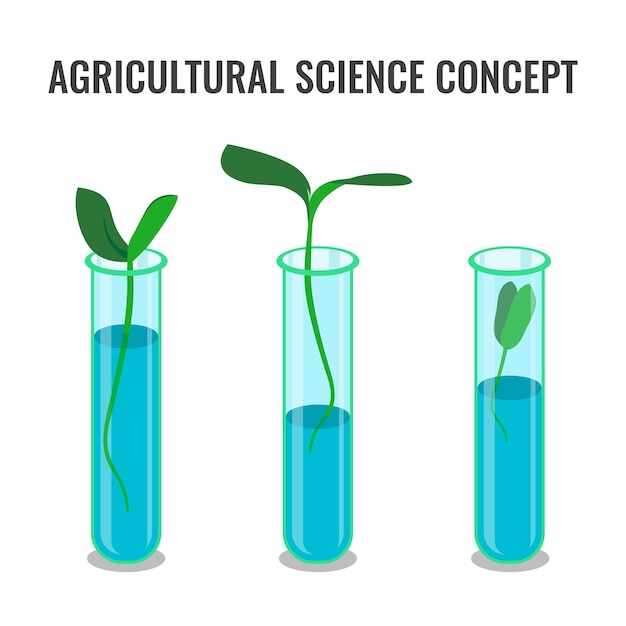 Concepto de ciencia agrícola que muestra el brote en tubo de vidrio