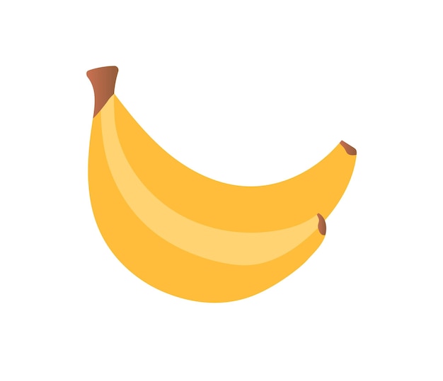 Concepto de la comida sana
