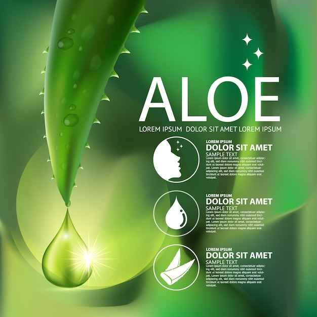 Concepto de cosméticos de aloe vera