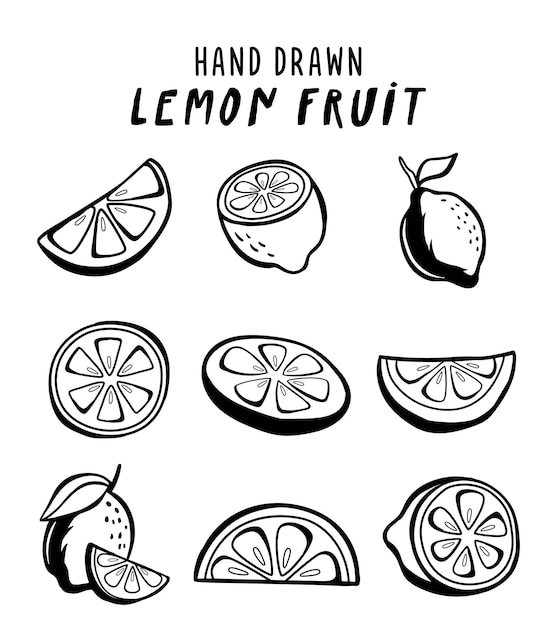 Concepto dibujado a mano de frutas de limón sobre fondo blanco