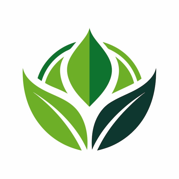 Concepto de diseño de logo de hoja