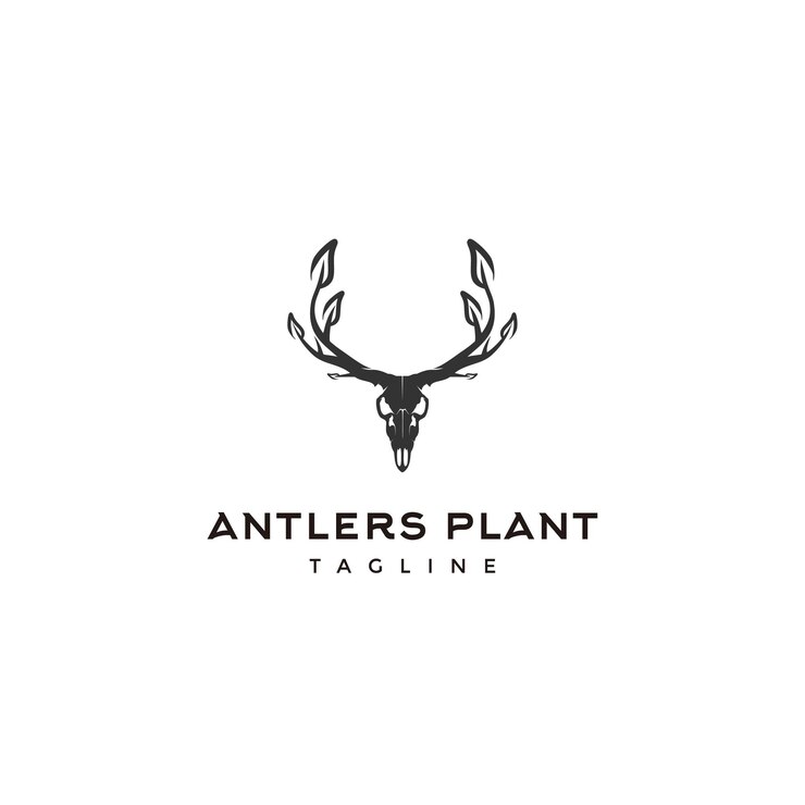 concepto de diseño de logotipo de planta de astas vector de logotipo de astas