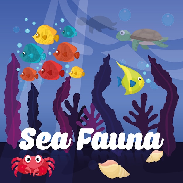 Concepto de la fauna marina