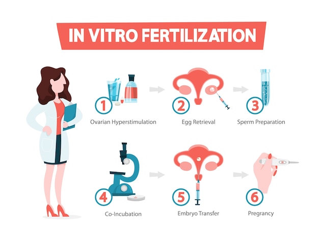 Concepto de fertilización in vitro. idea de infertilidad