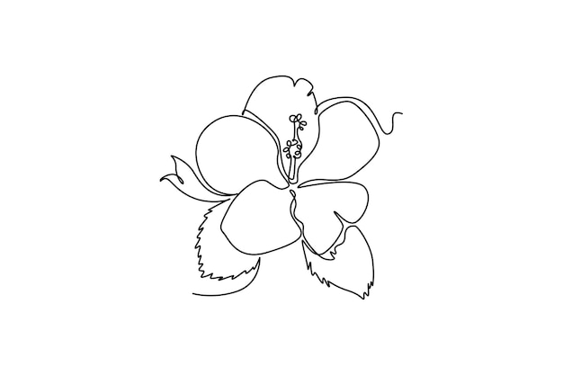 Concepto de flor hermosa Diseño de dibujo de línea única Ilustración gráfica vectorial