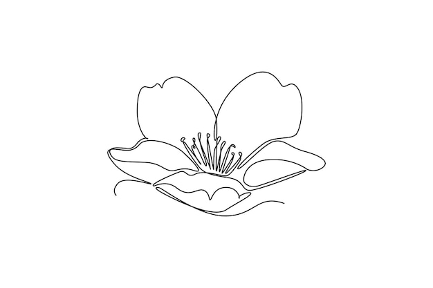 Concepto de flor hermosa Diseño de dibujo de línea única Ilustración gráfica vectorial