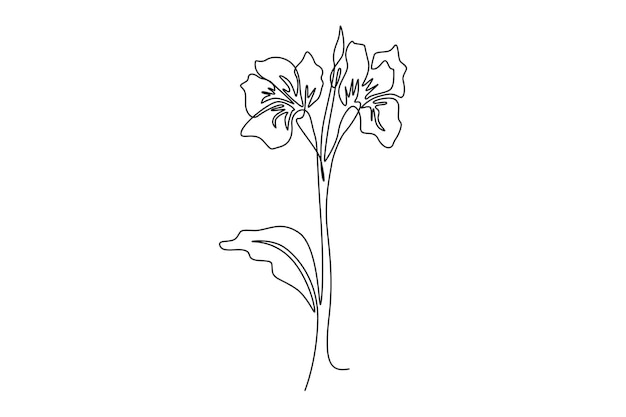 Concepto de flor de lirio de canna decorativa impresible para la decoración del hogar