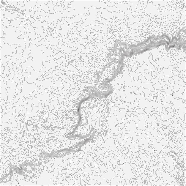 Concepto de fondo de mapa topográfico con espacio para su copia Ilustración de vector de fondo de mapa de contorno topográfico