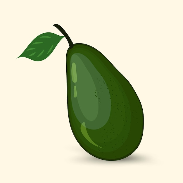 Concepto de fruta fresca de aguacate verde y productos para una dieta saludable Ilustración plana vectorial