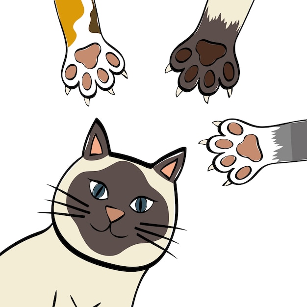 Vector concepto de gato con diseño de icono