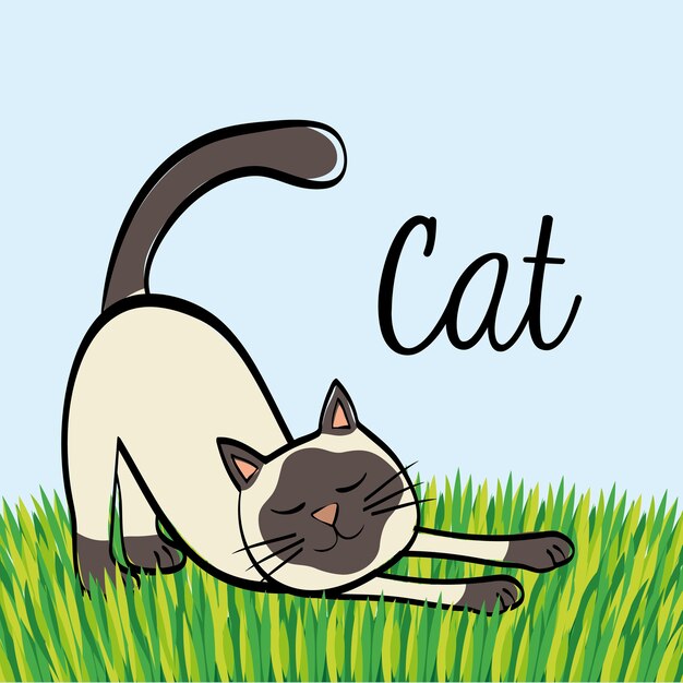 Vector concepto de gato con diseño de icono