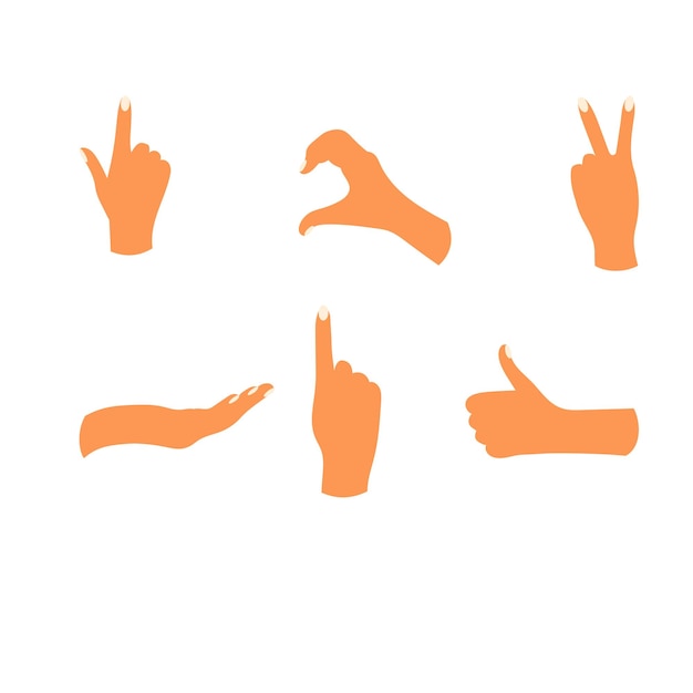 concepto de gesto de forma de manos sobre fondo blanco