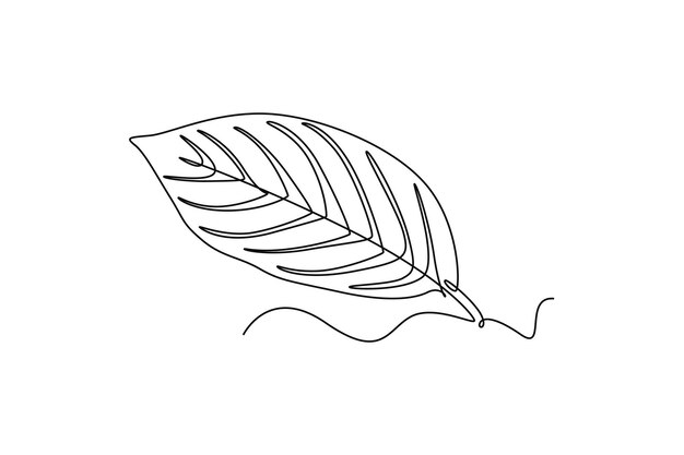 Concepto de hojas Diseño de dibujo de línea única Ilustración gráfica vectorial