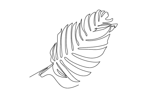 Concepto de hojas Diseño de dibujo de línea única Ilustración gráfica vectorial