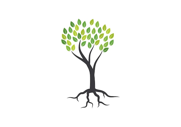 Concepto de icono de árbol