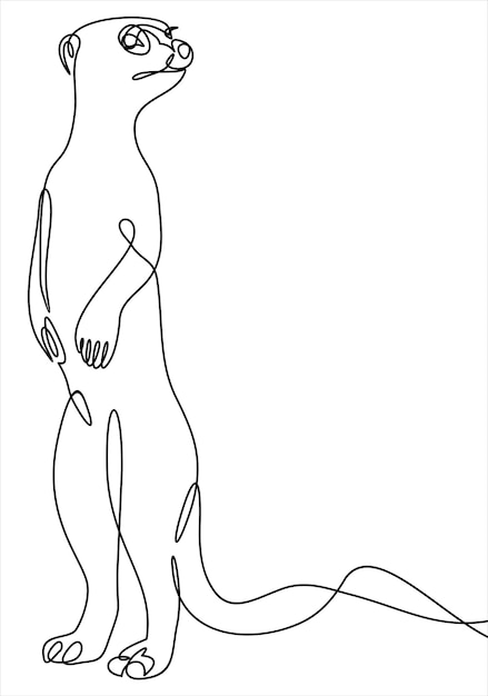 Concepto de icono de línea de suricata dibujo continuo de una línea