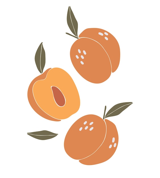Concepto de ilustración de boho de fruta de durazno