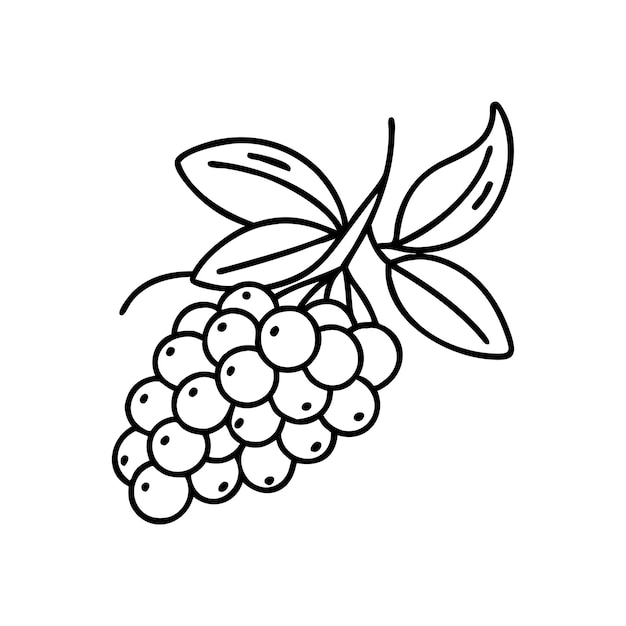 Concepto de ilustración de frutas frescas ecológicas