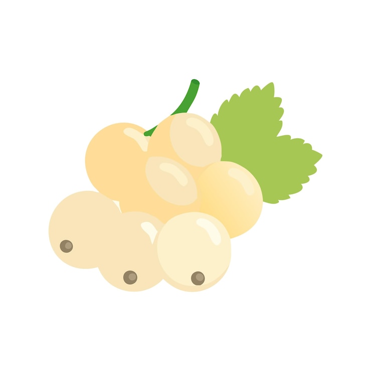 Vector concepto de ilustración de frutas frescas ecológicas