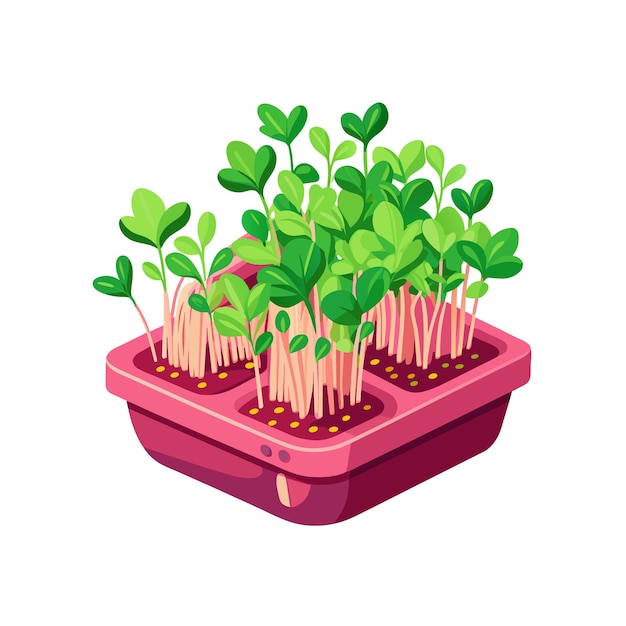 El concepto de ilustración de la planta de interior en el vector de la olla