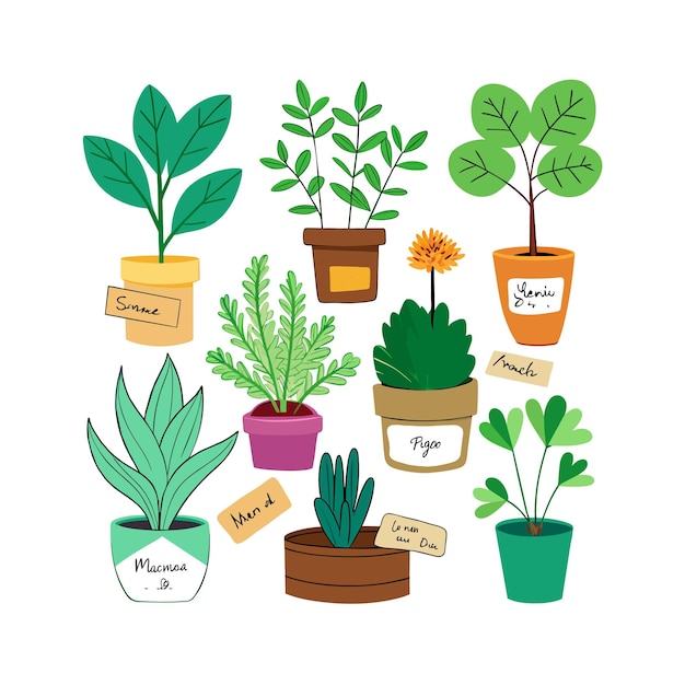 El concepto de ilustración de la planta de interior en el vector de la olla