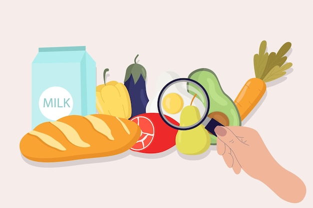 El concepto de una ilustración vectorial plana de la seguridad alimentaria saludable Una mano con una lupa estudia los alimentos Para el anuncio y el volante de la plantilla de la página de destino del sitio web del banner