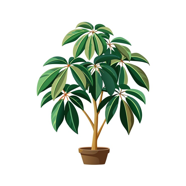 Vector concepto de ilustración vectorial de plantas de interior hermosas