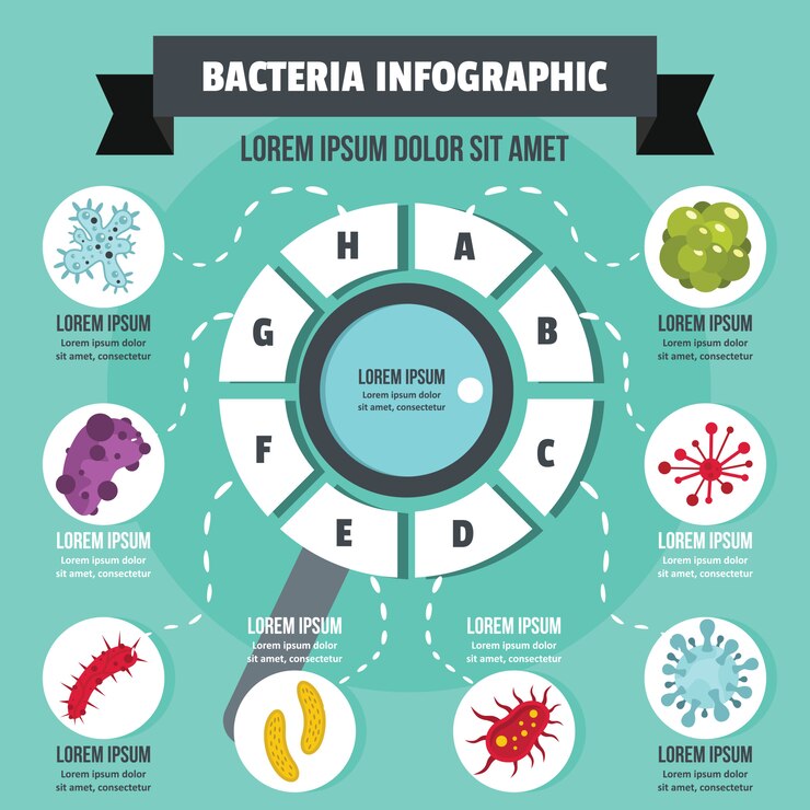 Vector concepto infografía de bacterias, estilo plano.