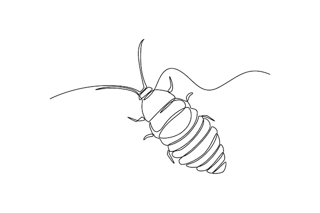 Concepto de insectos de dibujo de una línea continua Ilustración gráfica de vector de diseño de dibujo de una sola línea