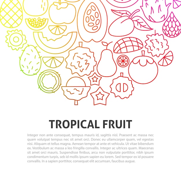 Vector concepto de línea de frutas tropicales