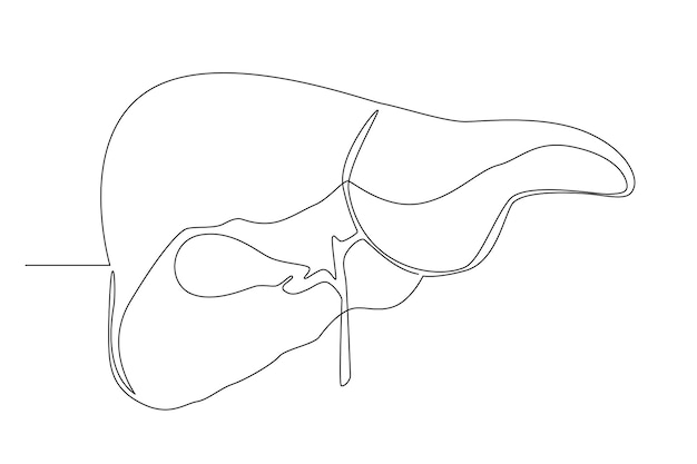 un concepto de línea simple de órganos del cuerpo humano, corazón, pulmón, respiratorio, ojo, mano, pie, cerebro, mano