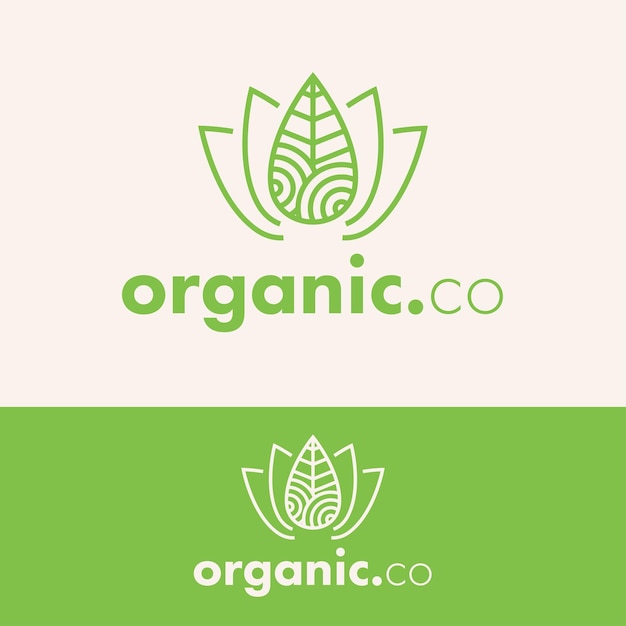 Concepto de logotipo de hoja orgánica de contorno minimalista