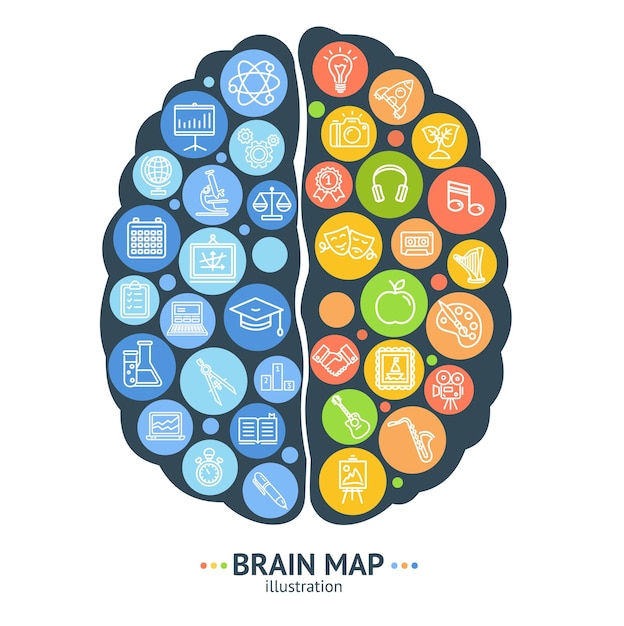 Concepto de mapa del cerebro humano vector de hemisferio izquierdo y derecho