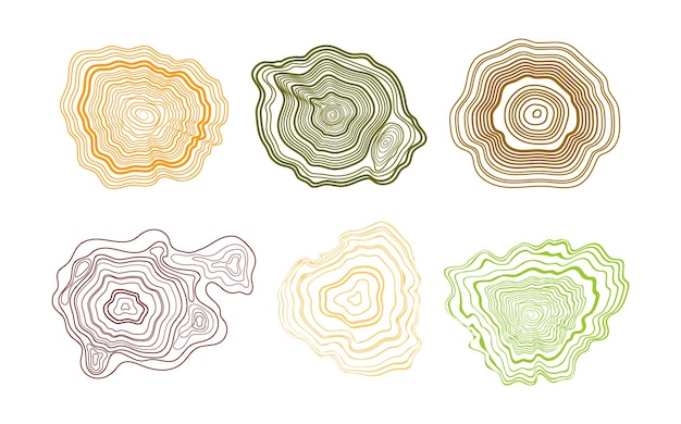 Concepto de mapa topográfico vectorial de patrón de corte de árboles