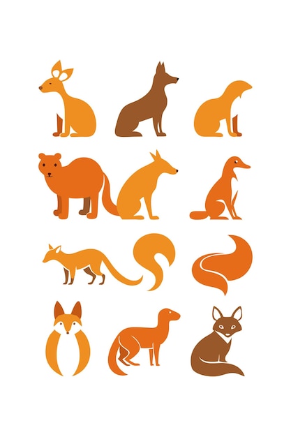 Concepto de mascotas y animales