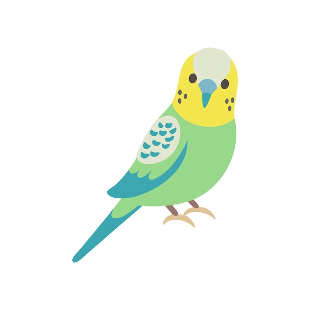 Concepto de mascotas y animales