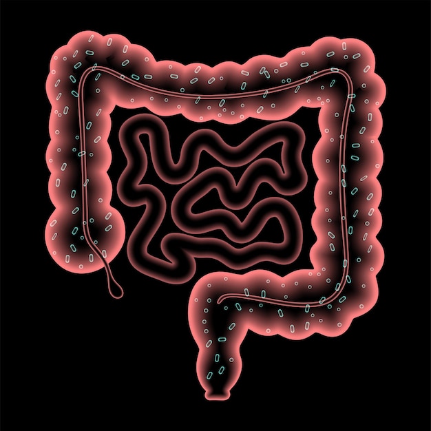 Concepto de microbioma intestinal