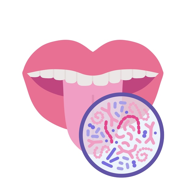 Vector concepto de microbioma oral bacterias probióticas saludables en boca humana diente y lengua microbiota lactob