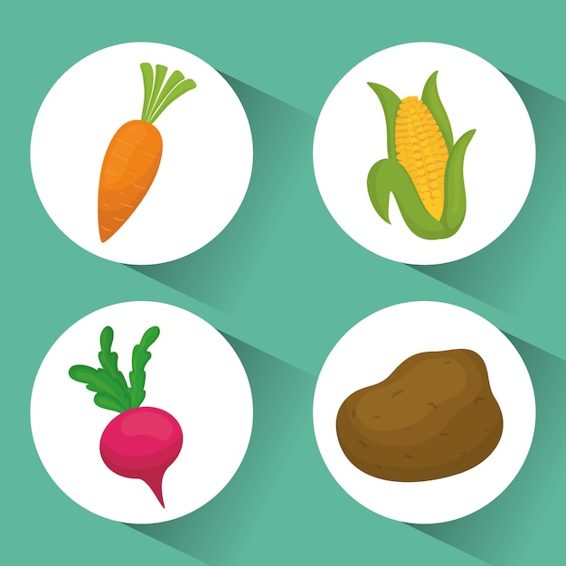 Vector concepto orgánico del producto con el diseño del icono de las verduras, gráfico del ejemplo 10 eps del vector.