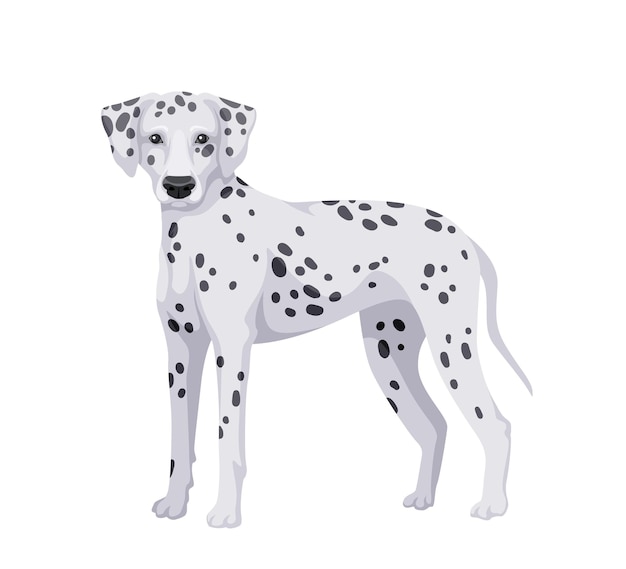 Concepto de perro lindo Raza adorable de mascota y animal doméstico Perrito y cachorro dálmata Elemento gráfico para sitio web Ilustración de vector plano de dibujos animados aislado sobre fondo blanco
