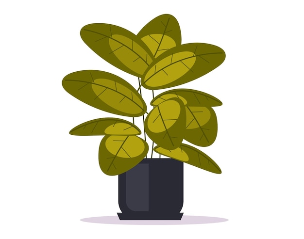 Concepto de planta de interior para la decoración de interiores